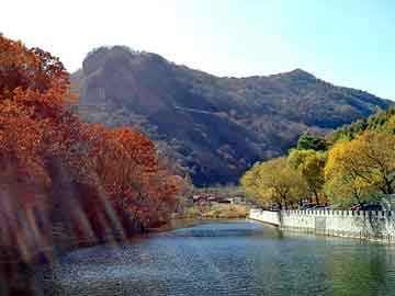 新澳天天开奖资料大全旅游团，黄贯中经纪人